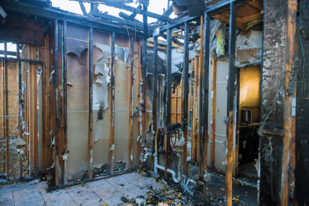 Professional Fire Damage Removal technician working in Bellevue, WI