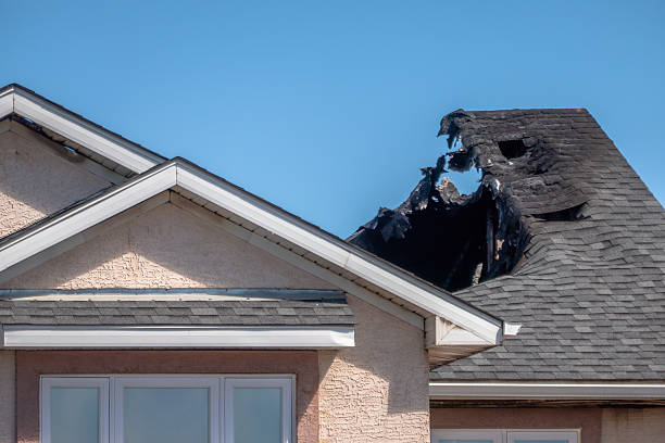 Top rated local Fire Damage Removal specialists in Bellevue, WI